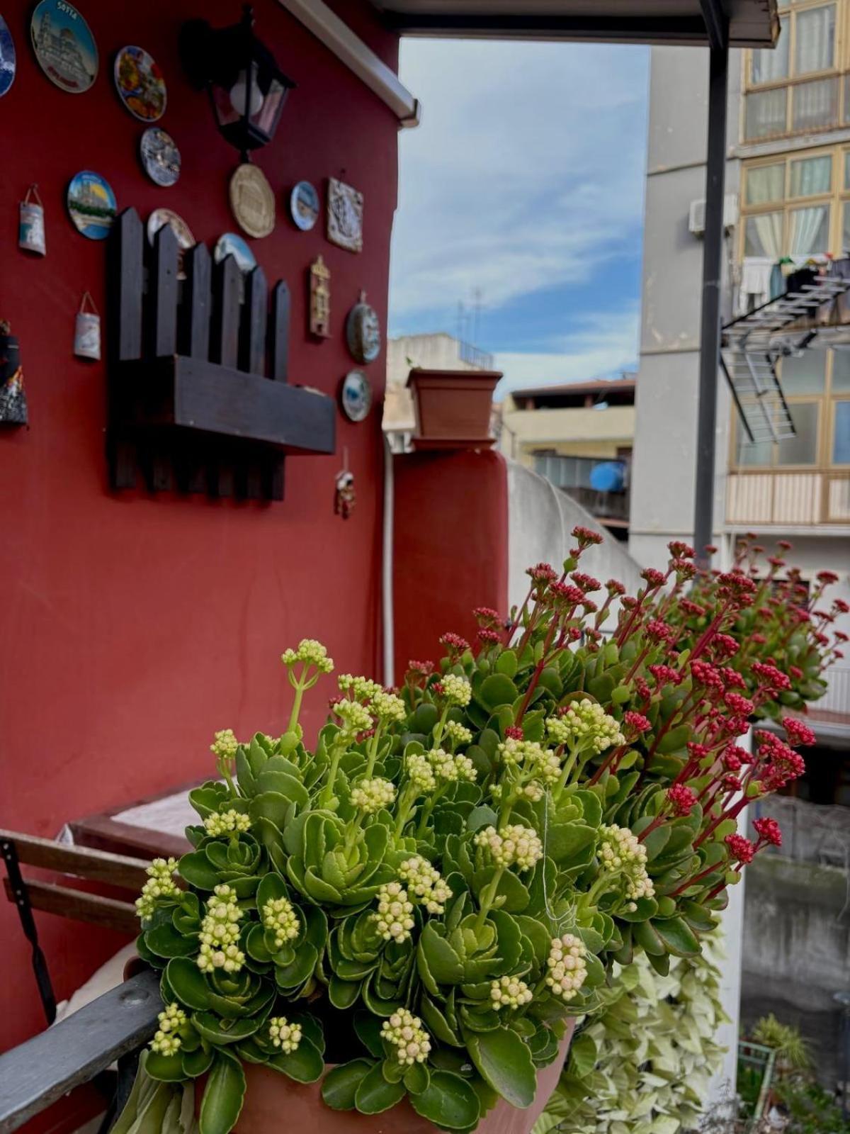 Roc House Catania